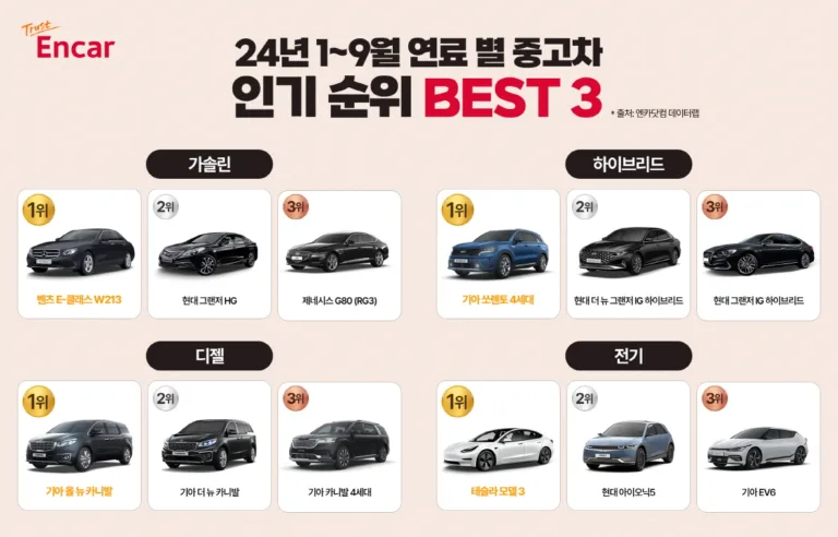 24년 1~9월 연료 별 중고차 인기 순위 BEST 3