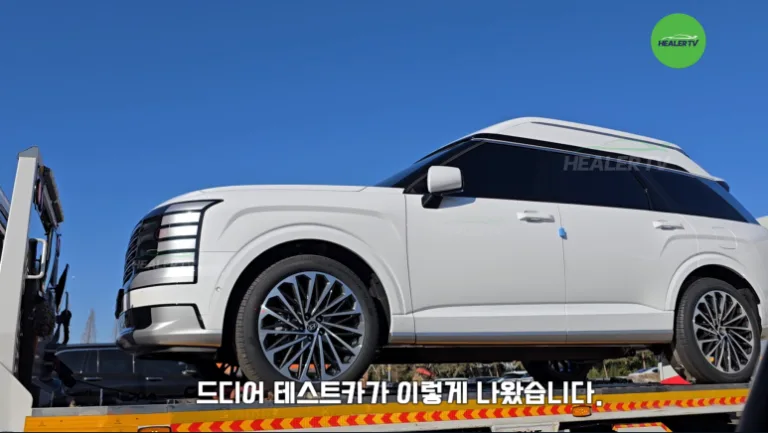 현대 팰리세이드 하이리무진