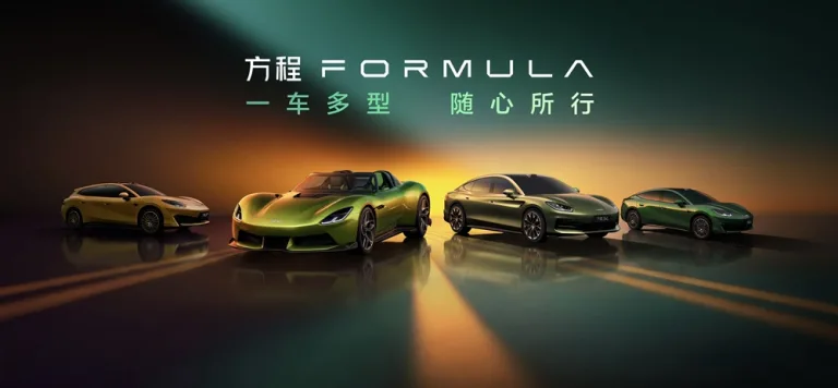 BYD 포뮬러바오 _ 포뮬러 S 라인업