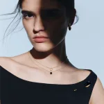부쉐론 BOUCHERON - GOLD & ONYX - WORN VISUALS - 4X5 - 1