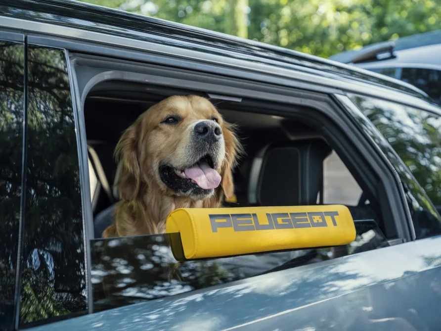 PEUGEOT Unveils E-5008 Dog Edition Concept Designed Around Canine Senses 2 푸조 E-5008, PEUGEOT IMAGINES TRAVEL THROUGH A DOG'S EYES WITH THE PEUGEOT E-5008 DOG EDITION CONCEPT, A UNIQUE CREATION FOR DOGS... AND THEIR HUMANS