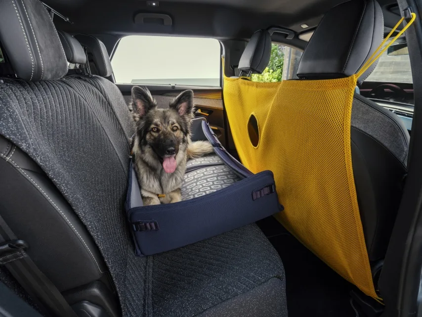 PEUGEOT Unveils E-5008 Dog Edition Concept Designed Around Canine Senses 4 푸조 E-5008, PEUGEOT IMAGINES TRAVEL THROUGH A DOG'S EYES WITH THE PEUGEOT E-5008 DOG EDITION CONCEPT, A UNIQUE CREATION FOR DOGS... AND THEIR HUMANS