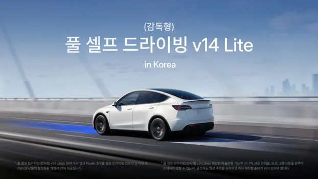 테슬라 FSD 감독형 v14 lite