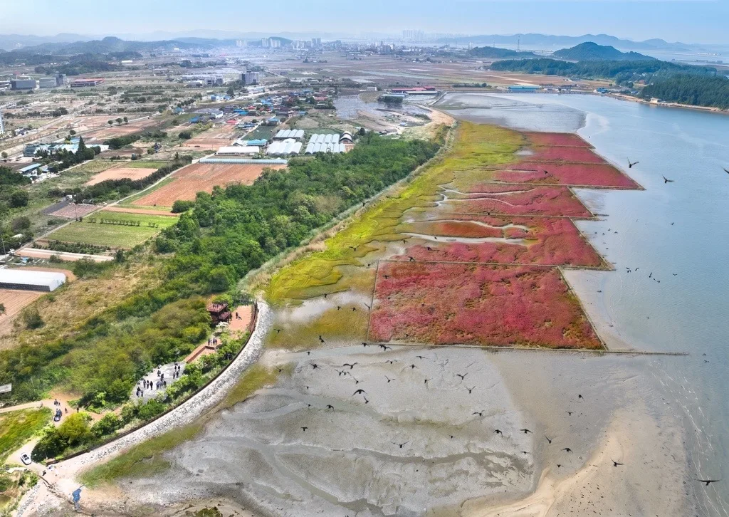사진 1 서천갯벌 블루카본 생태복원사업 예상 조감도 https://mobilityground.com/wp-content/uploads/2026/07/사진-4-서천갯벌-블루카본-생태복원사업-업무협약식.webp