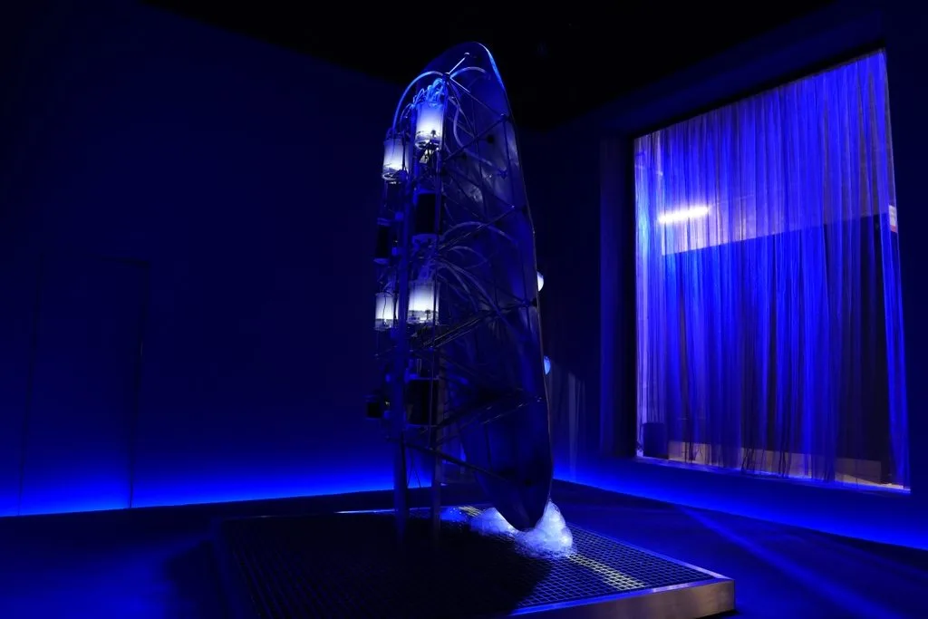 BMW 7시리즈, The New BMW 7 Series Meets Art Enthusiasts at Contemporary Istanbul with A.A.Murakami’s “SYMBIOSIS” Installation.