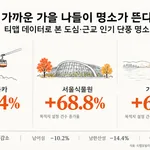 티맵모빌리티 데이터 분석... 남산케이블카 단풍철 목적지 설정 85.4% 증가