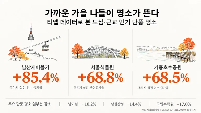 티맵모빌리티 데이터 분석... 남산케이블카 단풍철 목적지 설정 85.4% 증가